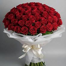 Букет 101 Красная роза Блэк Мэджик в Ревде Мурманской области