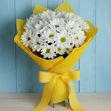 Букет цветов из:  Хризантемы в Ревде Мурманской области