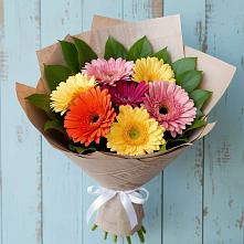 Букет цветов из:  Герберы в Ревде Мурманской области