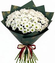 Букет цветов из:  Хризантемы #REPLACE_PRED# Ревде Мурманской области